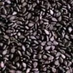 цена черный кунжут оптом